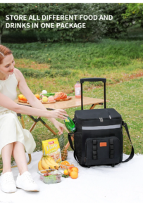 Woman unpacking picnic food and drinks from rolling cooler bag