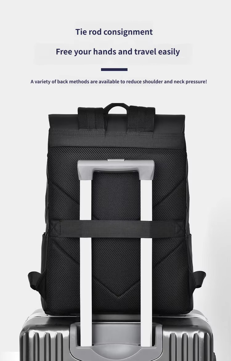 rear luggage strap passed over a suitcase handle