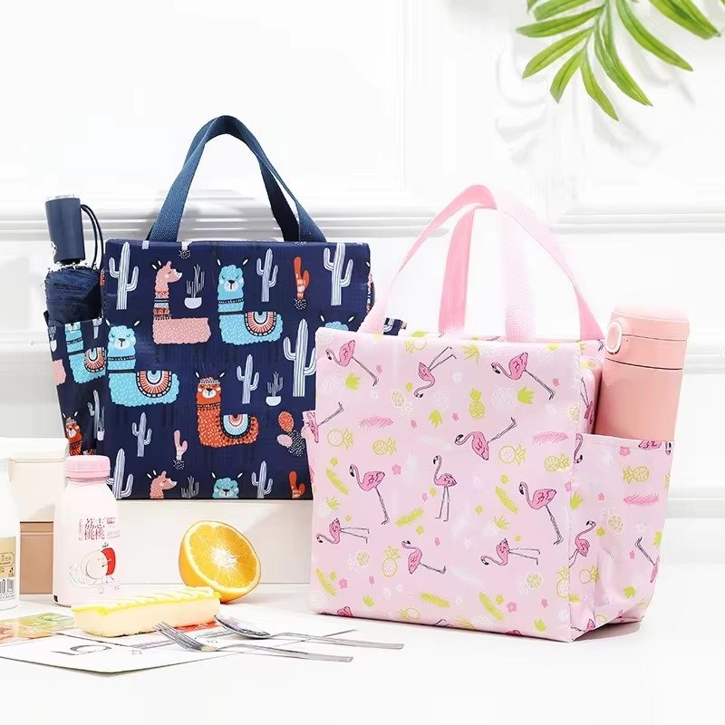 Custom Soft Waterproof Oxford Lunch Box Tote Bag Portable Insulated Thermal Kids Cooler for Beach Camping Picnics - product detail